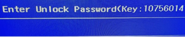 Acer 8 digit bios password