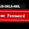 Sony 4x4 hex bios password