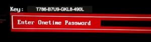 Sony 4x4 hex bios password